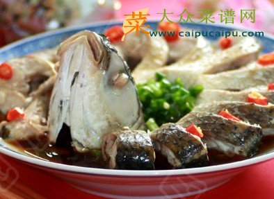孔雀开屏鱼